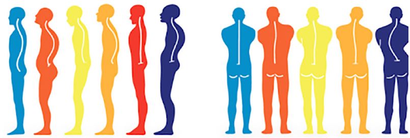 posturologie-ostéopathie-Delphine ROMERO-Ozoir-la-Ferrière-Pontault-Combault